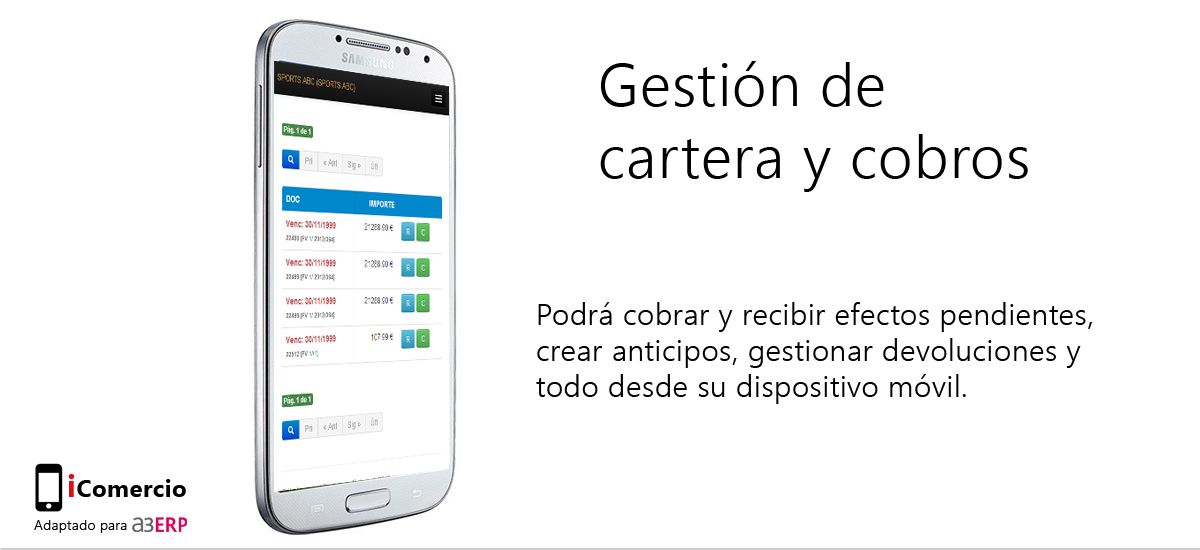 iComercio - ERP - Mobilidad